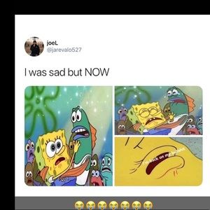 Meet your Posher, Terri